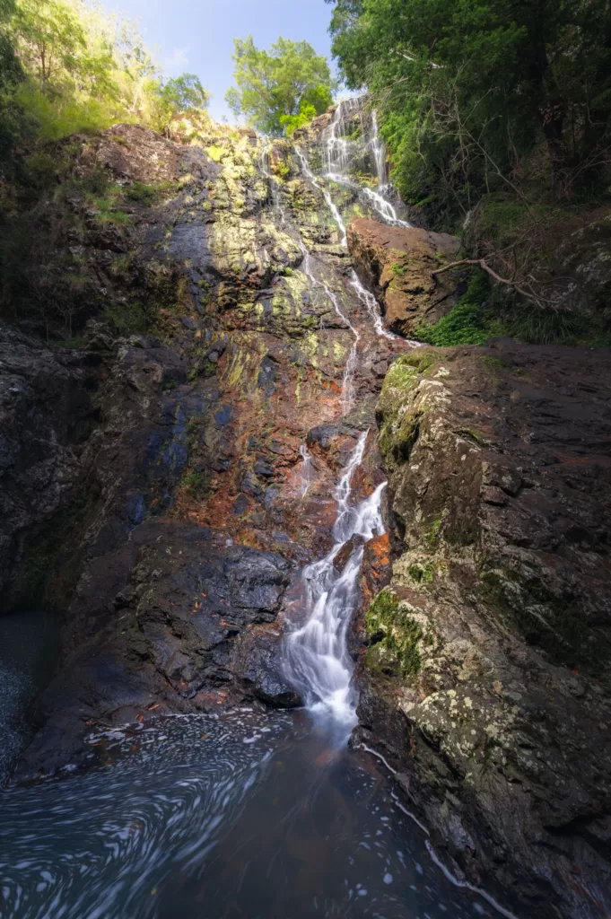 Picture of Kondalilla Falls, a popular tourist attraction in Queensland, Australia