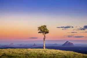 One Tree Hill in Maleny, Sunshine Coast - a popular spot for landscape photography