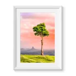 One-Tree-Hill-Maleny-Vertical-Art-Print-1
