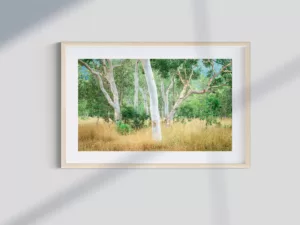 Gum Tree Oasis - An Australian Bush Scene.