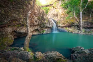 Kondalilla Falls, Sunshine Coast - a popular spot for nature photography