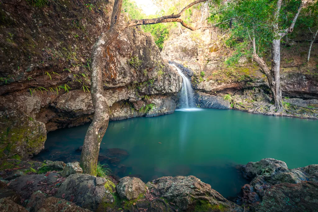 Kondalilla Falls, a stunning waterfall in the Sunshine Coast hinterland, available as wall art prints in Australia