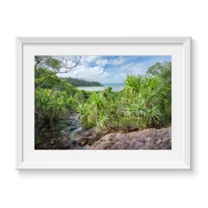 Pandanus-Oasis--An-Australian-Tropical-Coastal-Photo