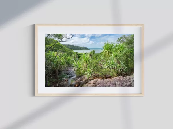 Pandanus Oasis, an Australian tropical coastal landscape photo print.